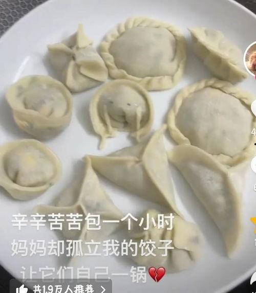 吃瓜包饺子,传统美食与趣味生活的完美融合