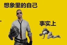 吃瓜卢探菜鸟,揭秘美食背后的故事与传奇