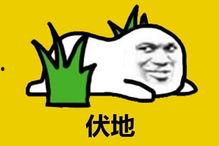 吃瓜卢探菜鸟,揭秘美食背后的故事与传奇