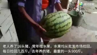 吃瓜群众视频全部,揭秘娱乐圈幕后真相