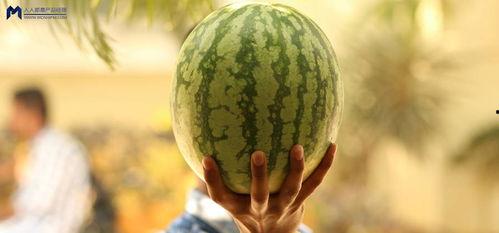 2021今年吃瓜事件,盘点那些让人捧腹大笑的娱乐圈事件