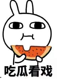 吃瓜头七,网络热词背后的文化现象