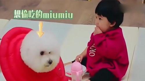 剪头发吃瓜群众,围观群众的热闹一幕