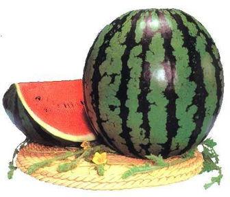 煤气罐吃瓜,吃瓜引发的意外事件