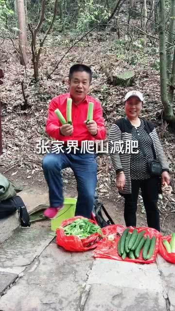 爬泰山吃瓜,一场别开生面的“爬山吃瓜”之旅