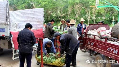 雄县世纪城吃瓜,一场别开生面的“吃瓜”盛宴