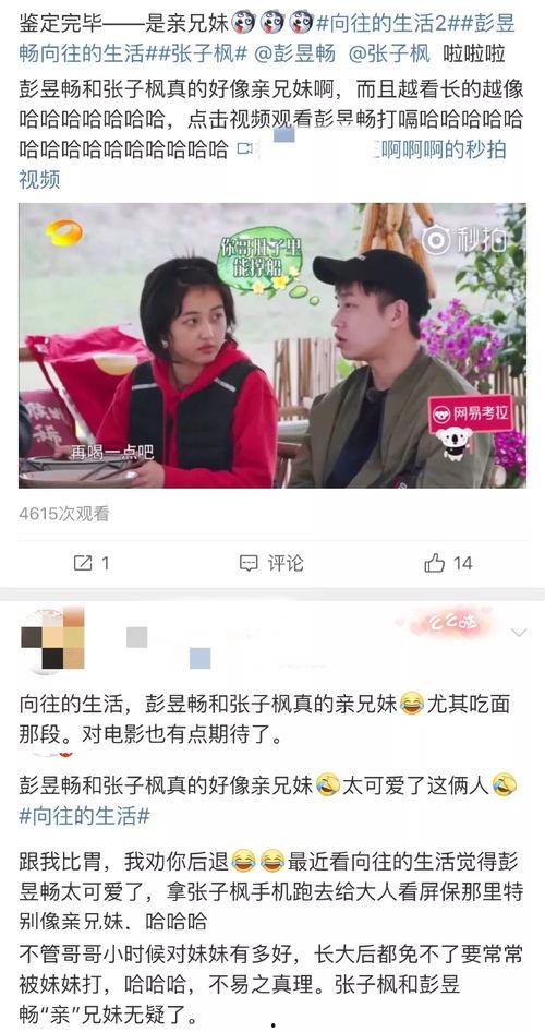 吃瓜兄妹,揭秘娱乐圈背后的甜蜜与苦涩