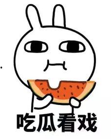 吃瓜吃一半没后续,揭秘吃瓜背后的故事