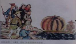 《蛤蟆吃瓜》反思,寓言中的自我认知与成长启示