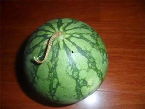 初恋吃瓜怎么挑瓜,如何挑选完美初恋瓜