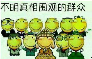 吃瓜群众飞天喵,揭秘吃瓜群众的奇幻之旅