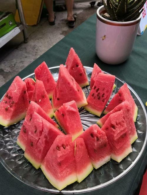 重庆文理吃瓜事件,校园风波背后的真相探寻