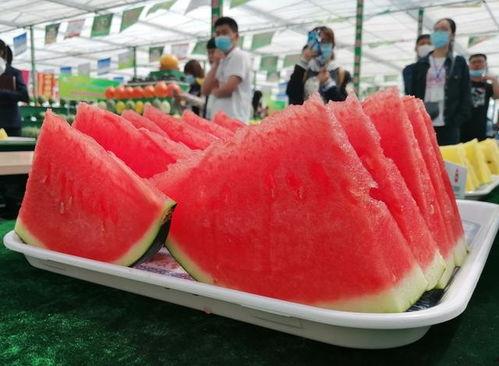 吃瓜群众114,一场全民参与的舆论盛宴