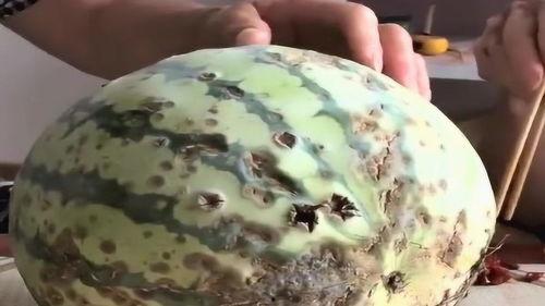 吃最恶心的瓜,那些让人反胃的“恶臭瓜”事件大揭秘