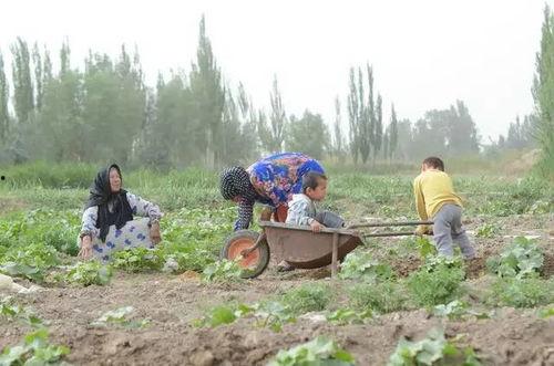吃瓜群众在河边见义勇为