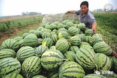 吃瓜怎么找的,揭秘“吃瓜群众”如何成为网络热点的幕后推手