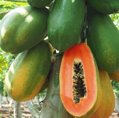 今天吃瓜排名,热门事件盘点，揭秘娱乐圈风云变幻