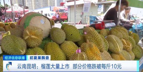 佳农冻榴莲吃瓜,冰封美味，尽享夏日清凉瓜果盛宴