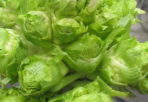 大白菜咋吃能瓜肠瓜油,轻松瓜肠瓜油，美味尽享