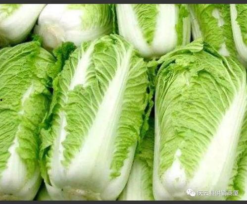 大白菜咋吃能瓜肠瓜油,轻松瓜肠瓜油，美味尽享