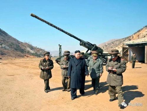 王大炮事件吃瓜,网络舆论场上的风波与反思