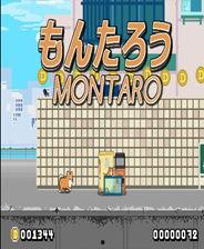 吃瓜了呀网页,热门话题背后的网络现象