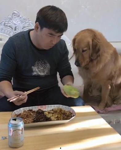 看狗吃瓜,揭秘宠物界的八卦风云