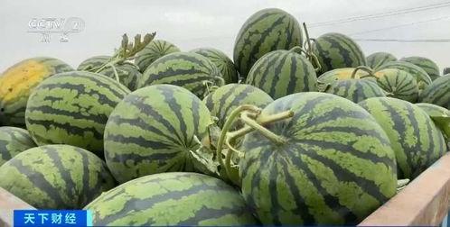 张乔吃瓜,揭秘娱乐圈幕后故事