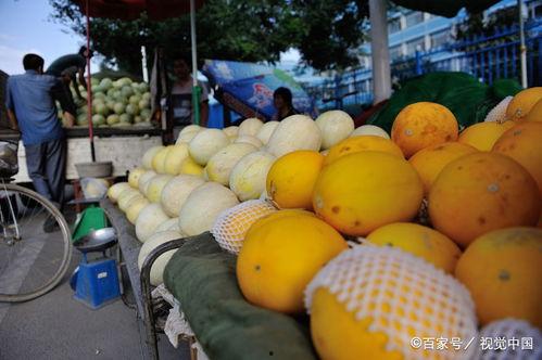 黄河蜜瓜脆皮怎么吃,黄河蜜瓜脆皮多味食法全攻略