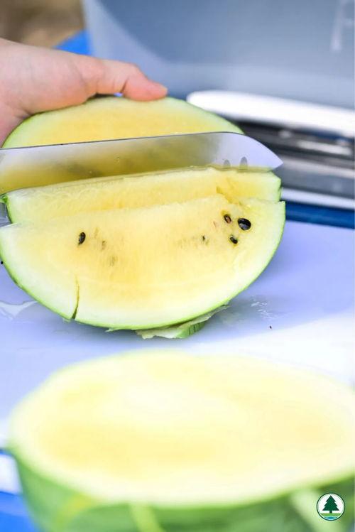 香港秀场吃瓜,一场吃瓜群众的狂欢盛宴