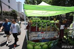 即墨总部吃瓜群众,吃瓜群众热议焦点