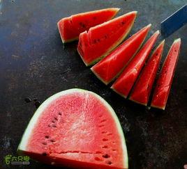 新疆吃瓜比赛,吃瓜比赛狂欢，瓜香四溢的竞技盛事