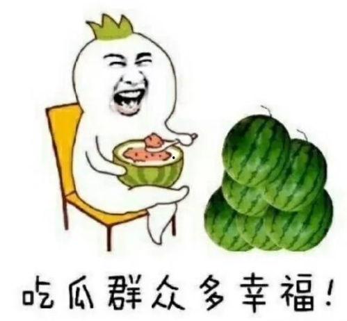 快乐吃瓜达人,达人的快乐生活秘诀