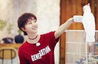 灿勋吃瓜,揭秘娱乐圈背后的那些事儿