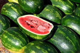 柳丁吃瓜,揭秘娱乐圈的甜蜜与苦涩