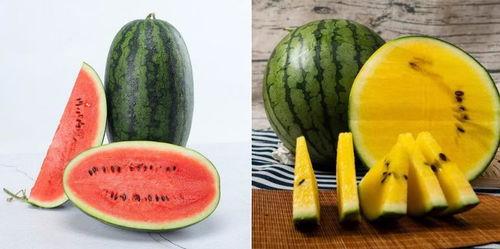 2025吃瓜汇总,盘点娱乐圈风云变幻