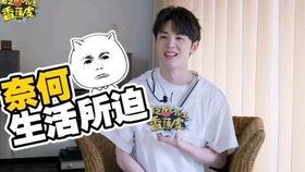 顶级采访吃瓜,吃瓜群众的幕后故事