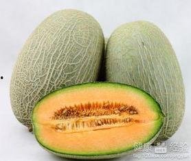 吃哈密瓜唱歌,甜蜜旋律中的瓜果情缘