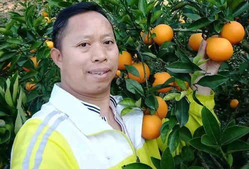 广西大叔吃瓜视频,一场接地气的乡村美食盛宴