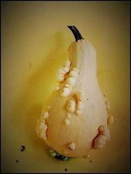 徐州新沂吃瓜事件,一场网络热议背后的真相揭秘