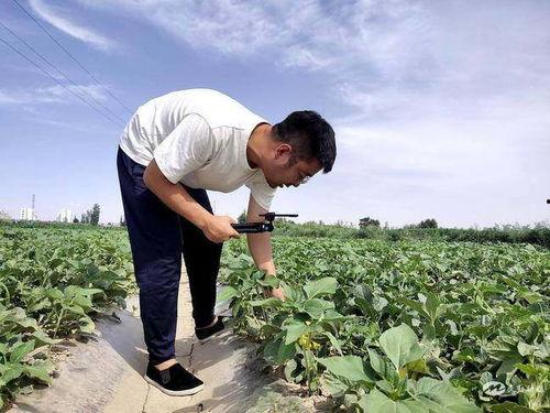 地头吃瓜了,品味乡村生活