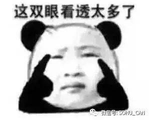 傻瓜吃瓜群众视频,一场网络狂欢背后的真相