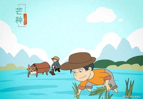 芒种节气吃瓜文案,瓜果飘香，尽享夏日清凉盛宴