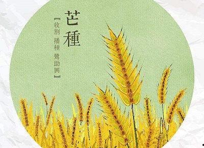 芒种节气吃瓜文案,瓜果飘香，尽享夏日清凉盛宴