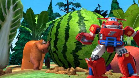 熊熊的决心吃瓜,挑战吃瓜极限，见证毅力与勇气