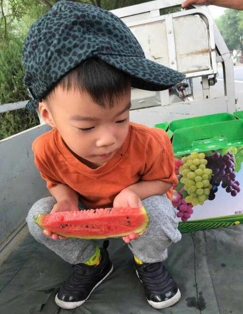 吴吴吃瓜,揭秘娱乐圈幕后故事