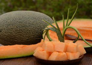 让人吃哈密瓜什么意思,一场味蕾的盛宴