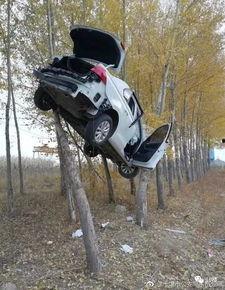 在车头吃瓜怎么拍,捕捉趣味瞬间