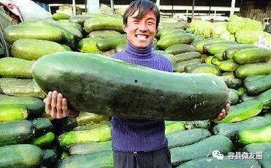 吃瓜吃瓜我们爱吃瓜