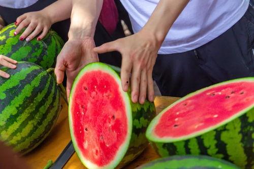 大学吃瓜实拍,揭秘大学里的那些“吃瓜”瞬间